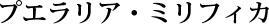 growthcolor_com_ttl02.png